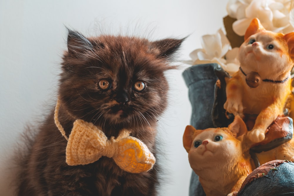 black and brown cat with orange and white cat plush toy