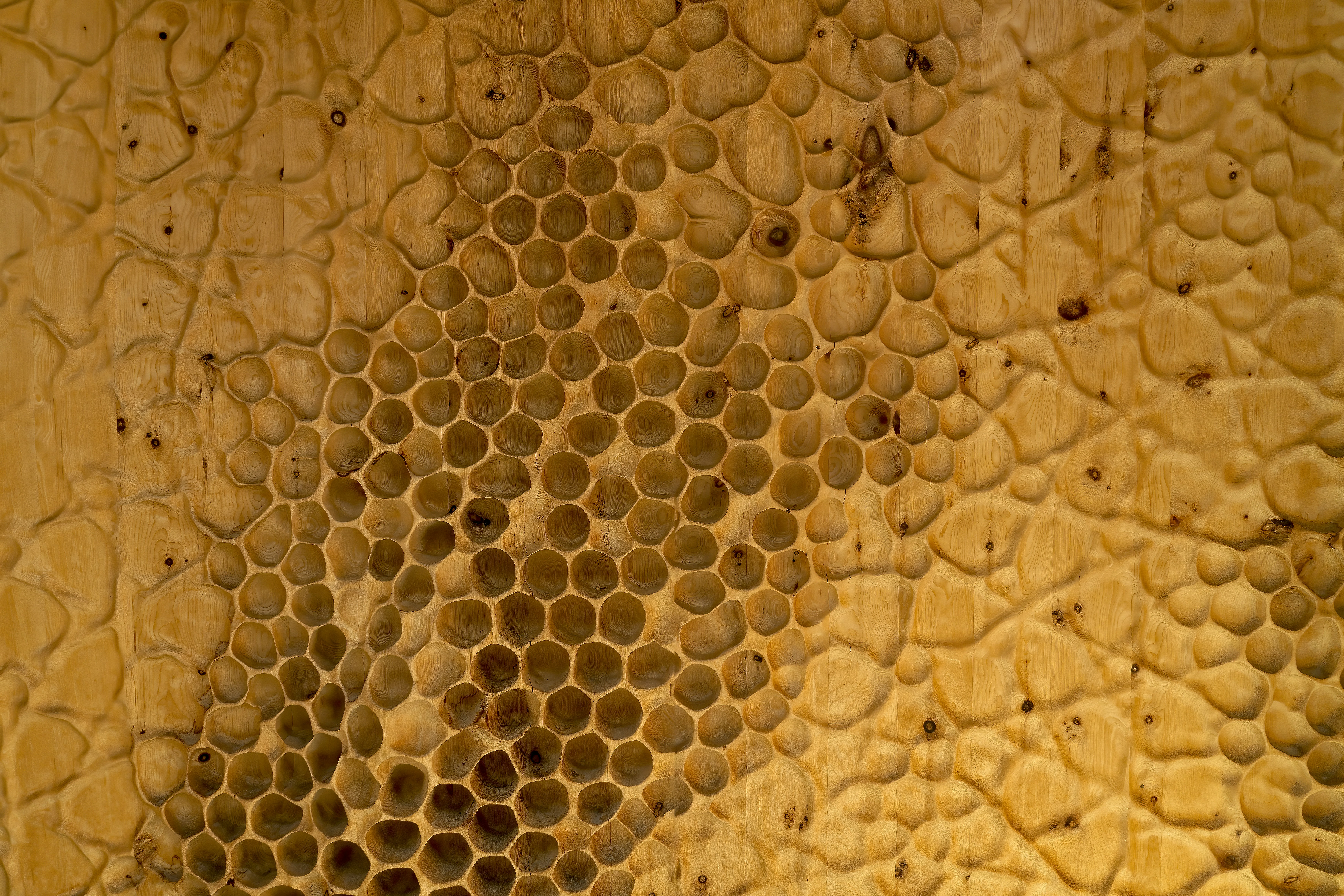 brown and black bee on brown surface