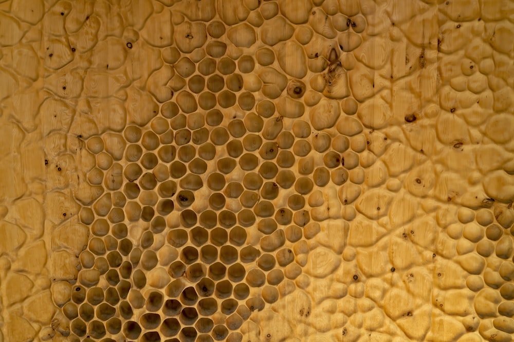 brown and black bee on brown surface