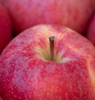 red apple fruit on red textile