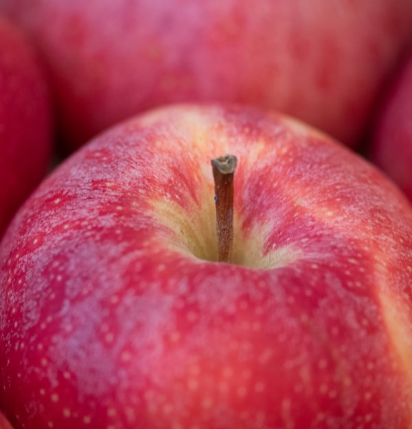 red apple fruit on red textile