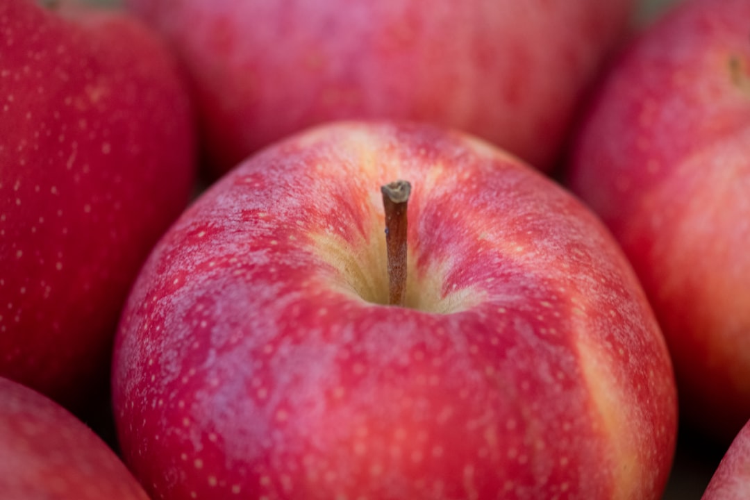 red apple fruit on red textile