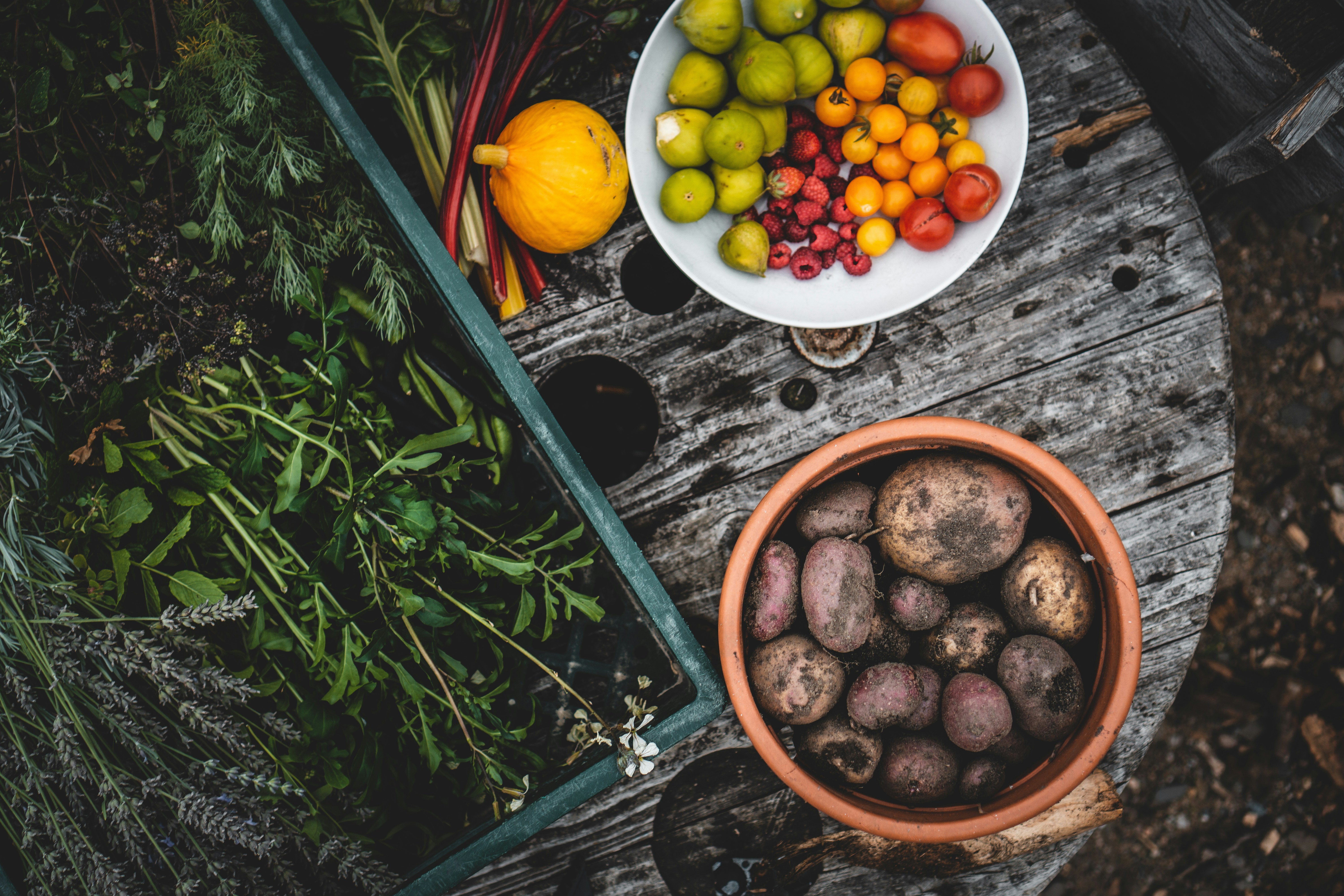 How Do I Start A Vegetable Garden?