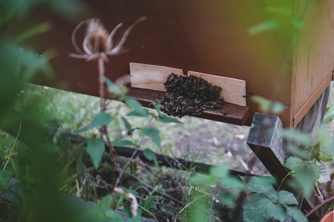 brown wooden plant pot on brown wooden fence