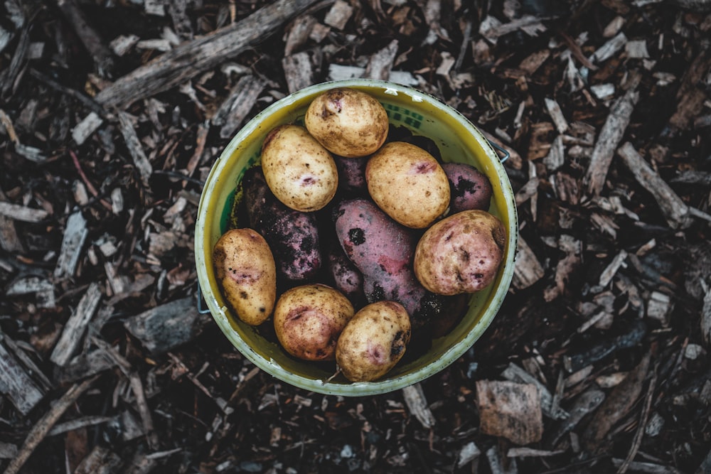 green and brown round fruits in green plastic bucket