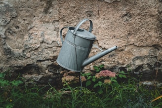 A vintage metal watering can is suspended in midair against an old, weathered stone wall. Below, a variety of green plants and small flowers are visible, creating a contrast between the rustic, industrial feel of the can and the natural elements of the garden.