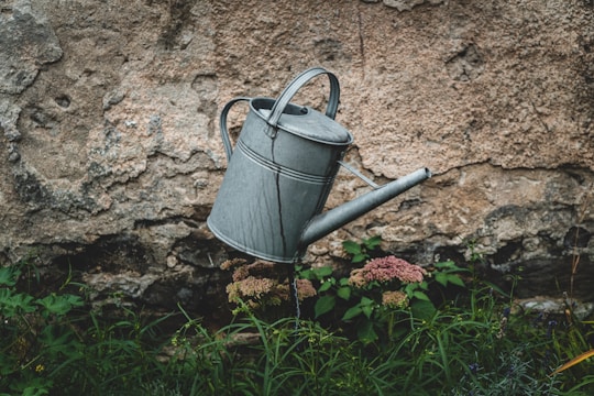 A vintage metal watering can is suspended in midair against an old, weathered stone wall. Below, a variety of green plants and small flowers are visible, creating a contrast between the rustic, industrial feel of the can and the natural elements of the garden.