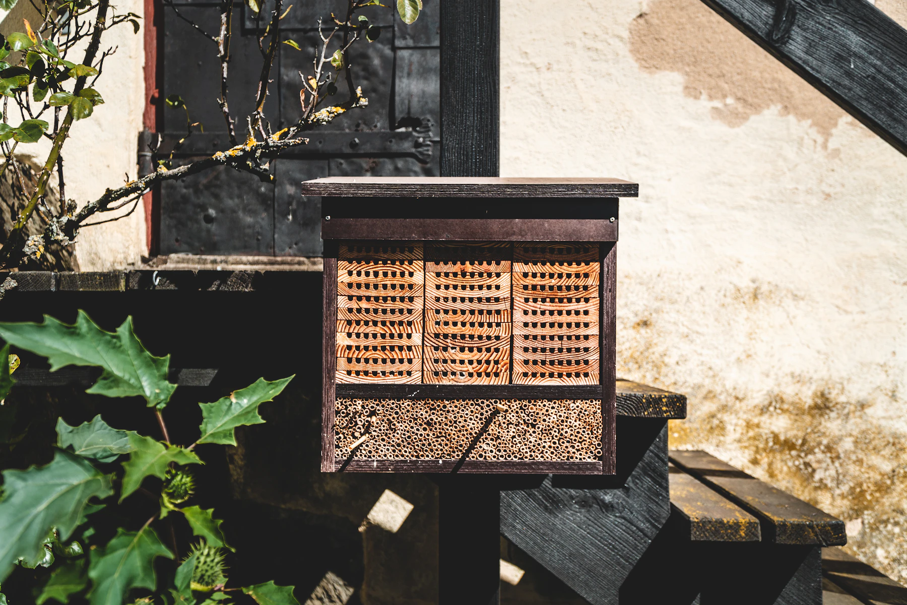 A small dark wooden bee house on a post beside a plastered wall, one shelf filled with perforated clay blocks and the other with a tight bundle of hollow reed tubes
