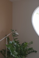 A cozy indoor setting features a lush green houseplant with glossy leaves positioned beside a modern, white floor lamp. The corner of the room is painted beige, contrasting with a circular window on the adjacent wall allowing soft natural light to filter in.