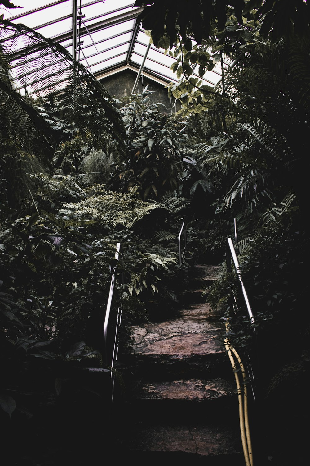 green plants and trees during daytime