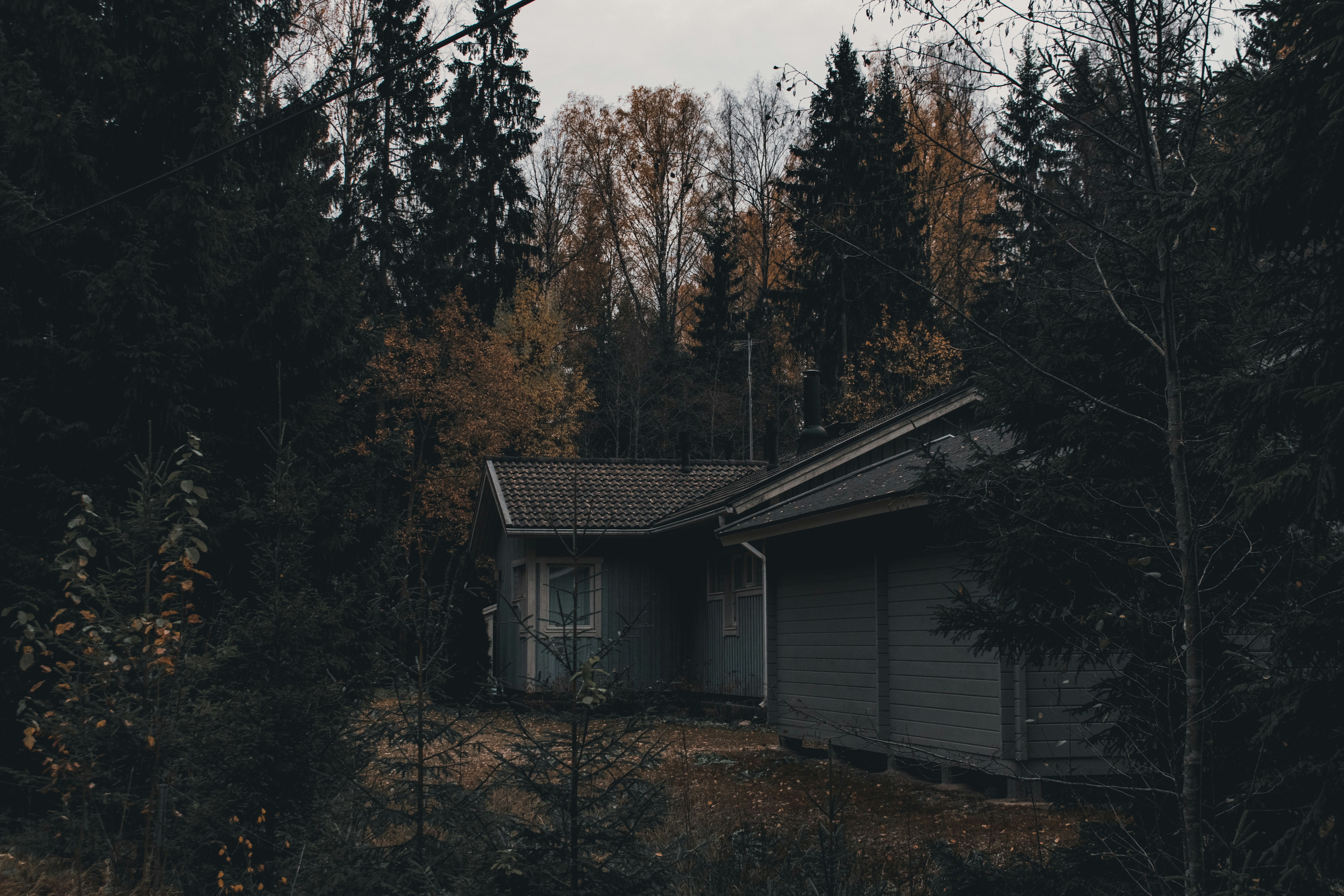 gray wooden house surrounded by trees