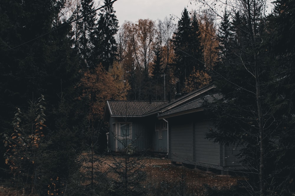 gray wooden house surrounded by trees