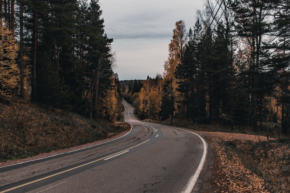 gray asphalt road between green trees under gray cloudy sky during daytime