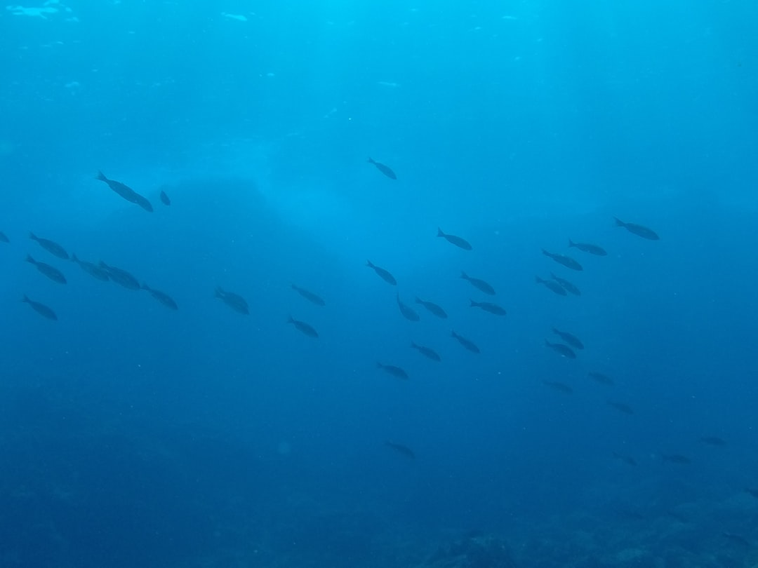 Travel Tips and Stories of Shikine-jima in Japan