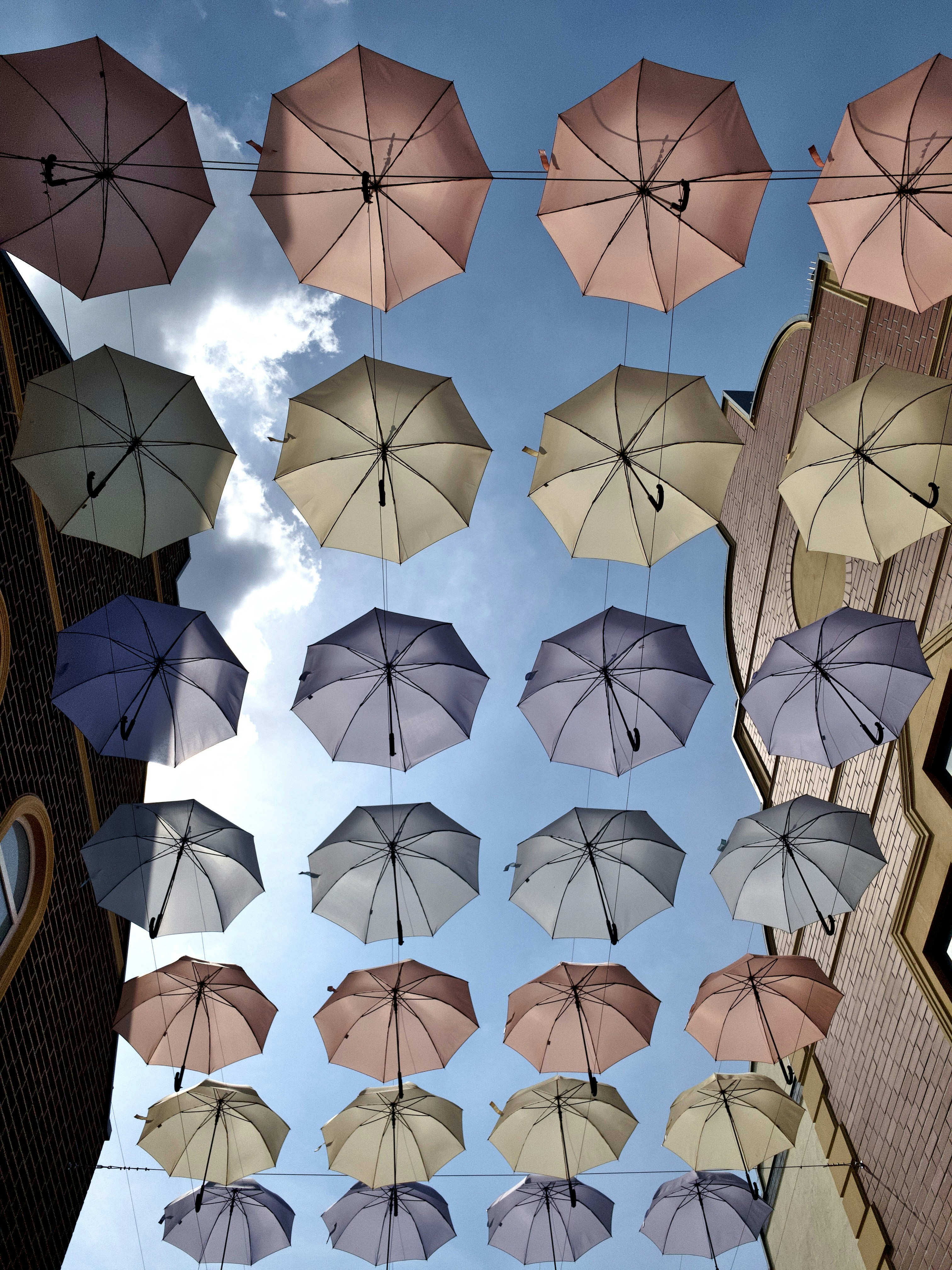 Download Yellow Umbrella Pictures Download Free Images On Unsplash PSD Mockup Templates