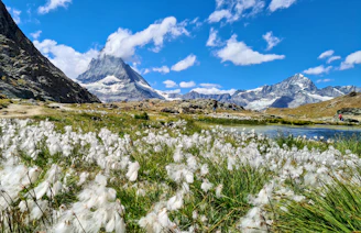A scenic mountain landscape with a couple hiking and admiring the view.