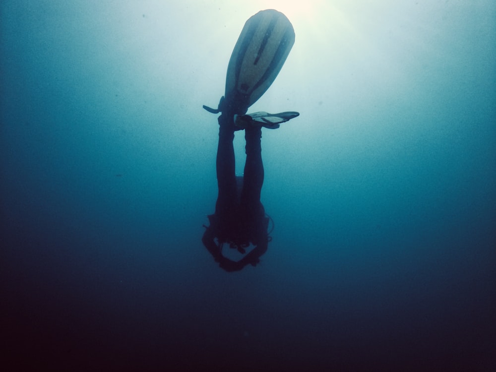 person in black wetsuit holding white and black surfboard