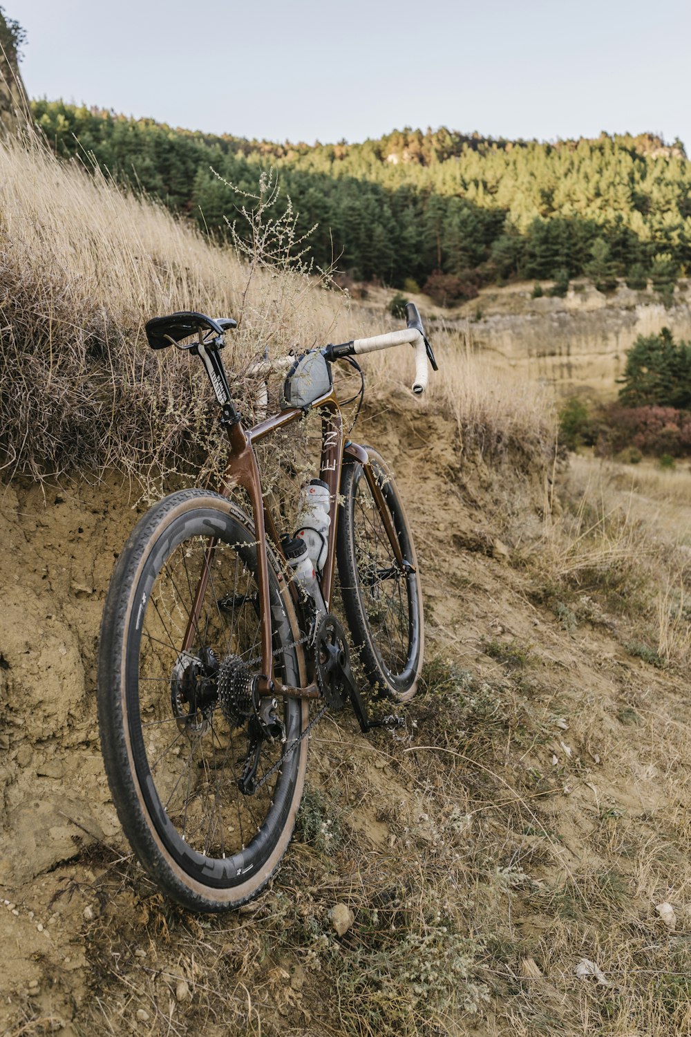 bici da strada nera e grigia sul campo di erba marrone durante il giorno
