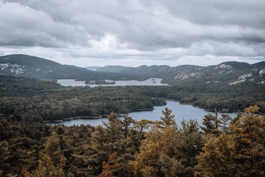 green trees near body of water under cloudy sky during daytime in Killarney Provincial Park Canada