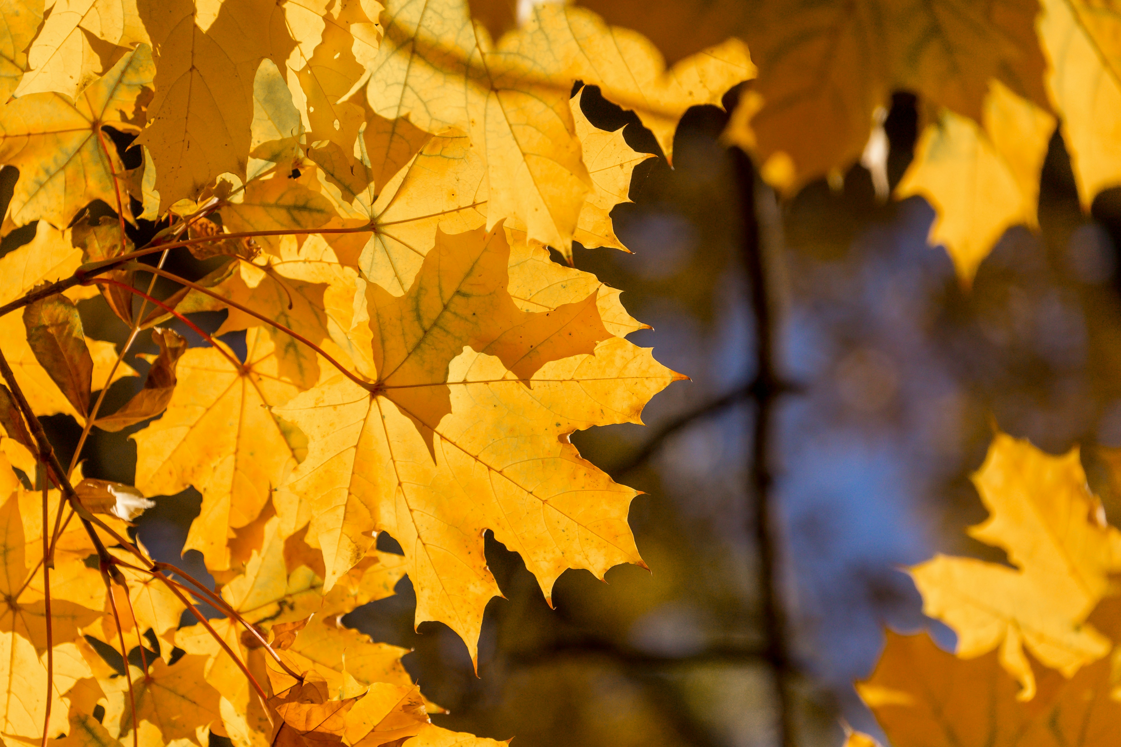 Photo by valentinbalan