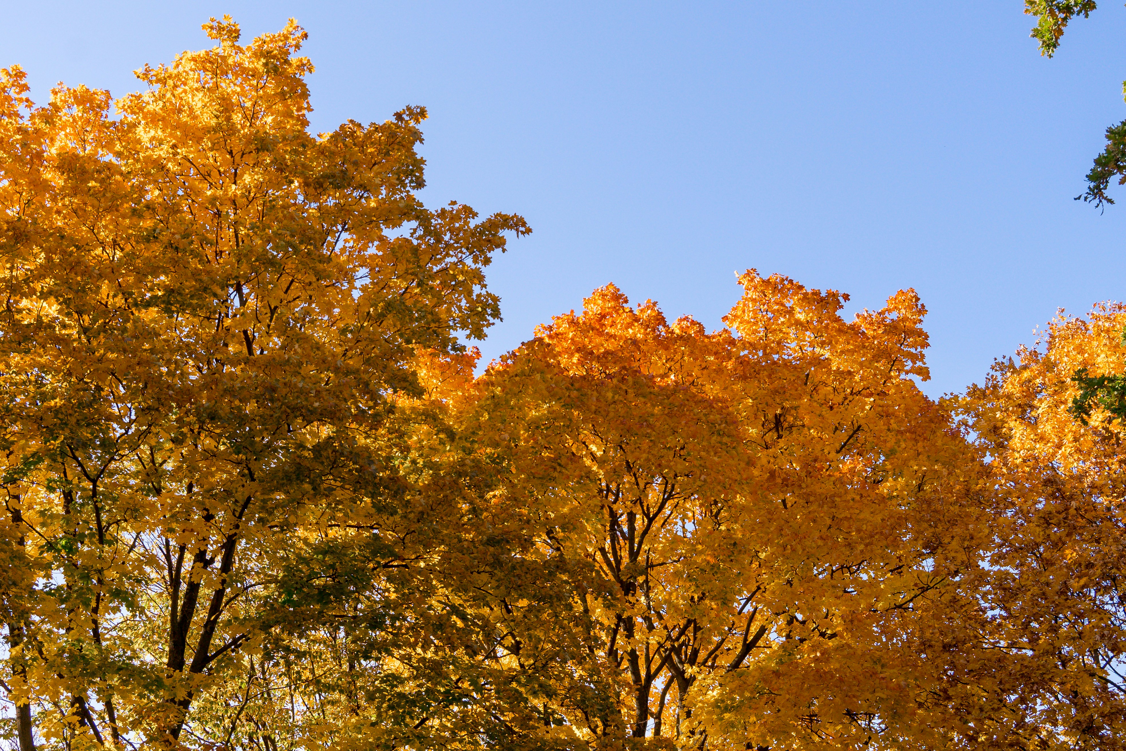 Photo by valentinbalan