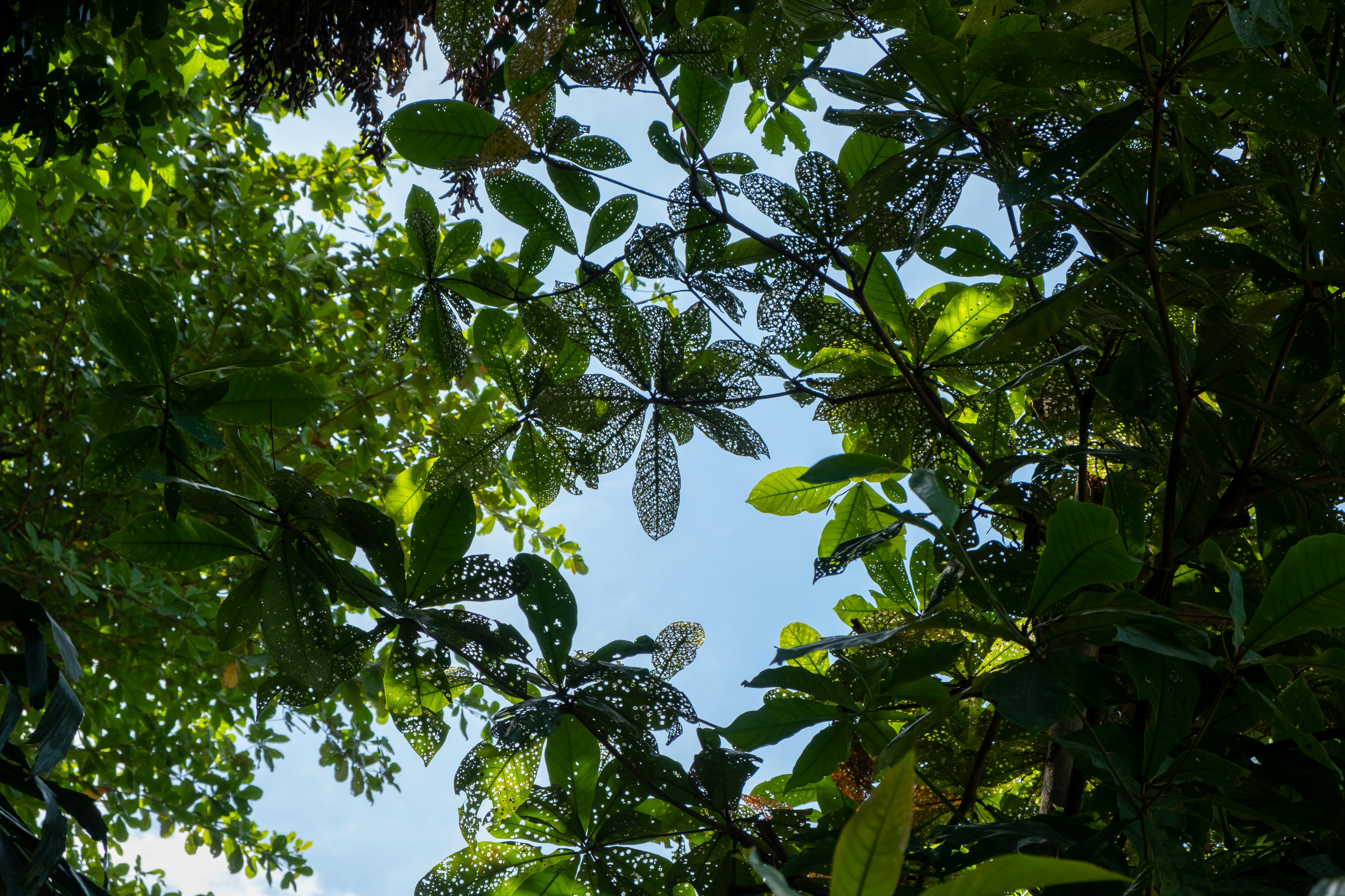 Photo by yifengjiang