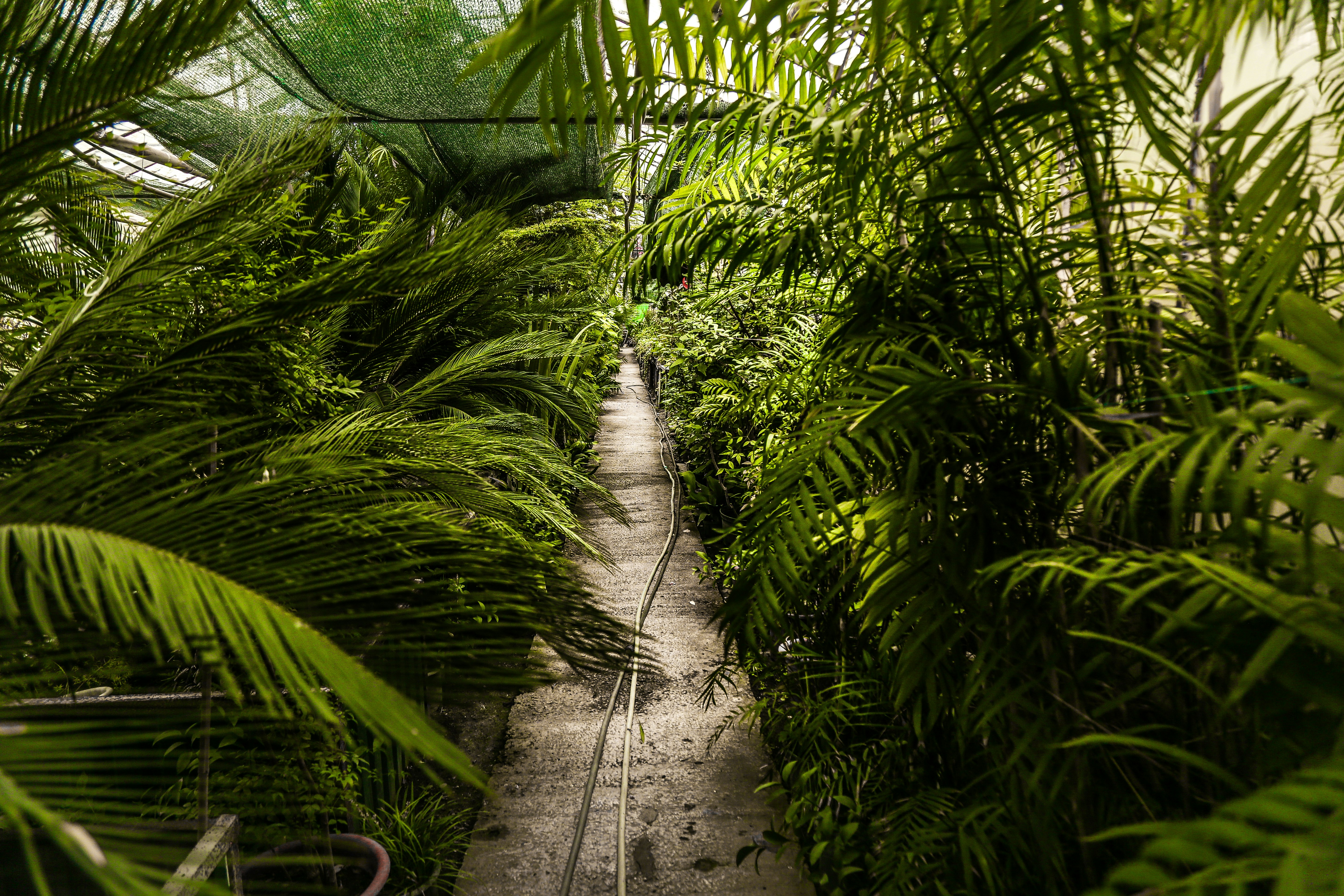 Photo by valentinbalan