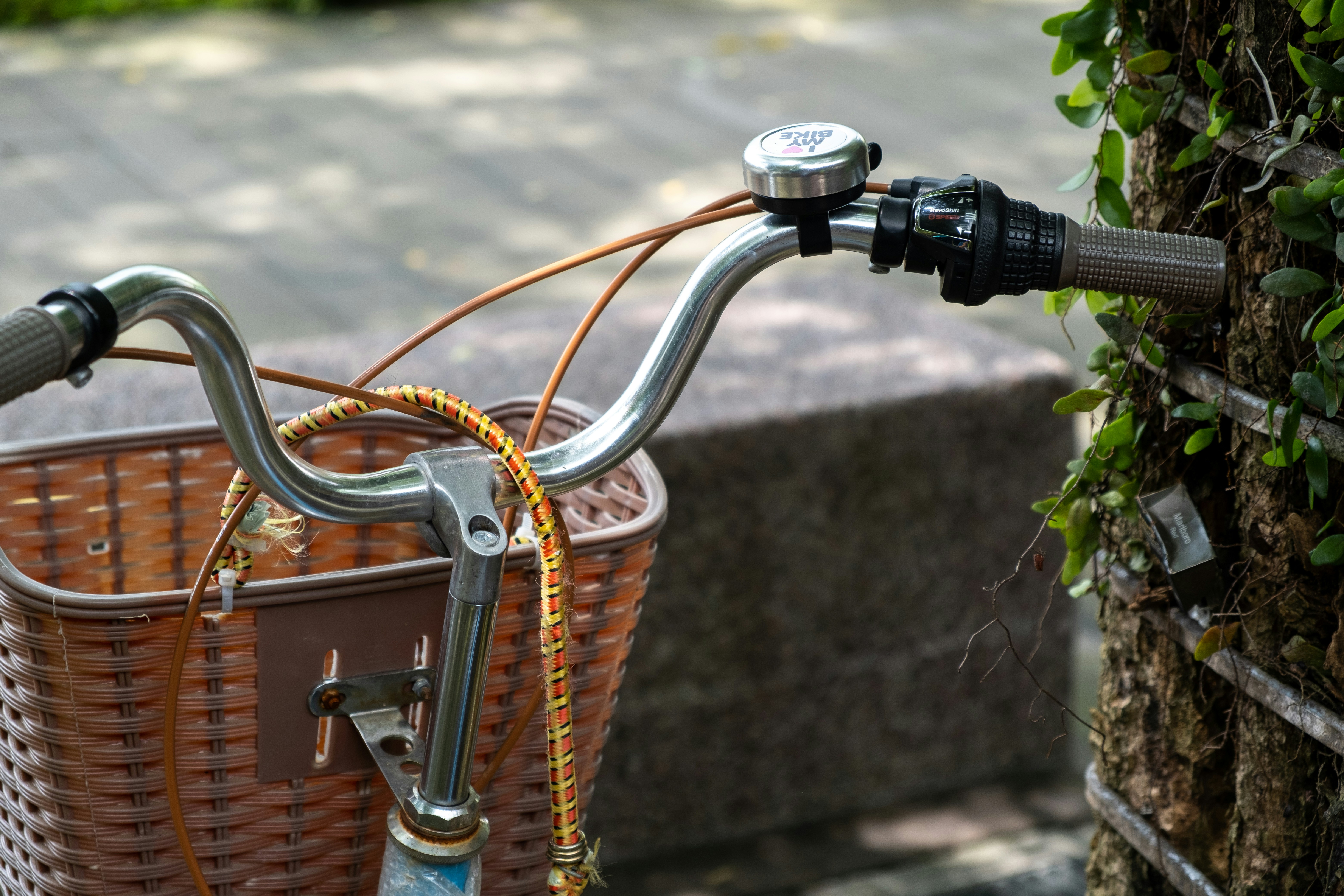 A bicycle next to tree 