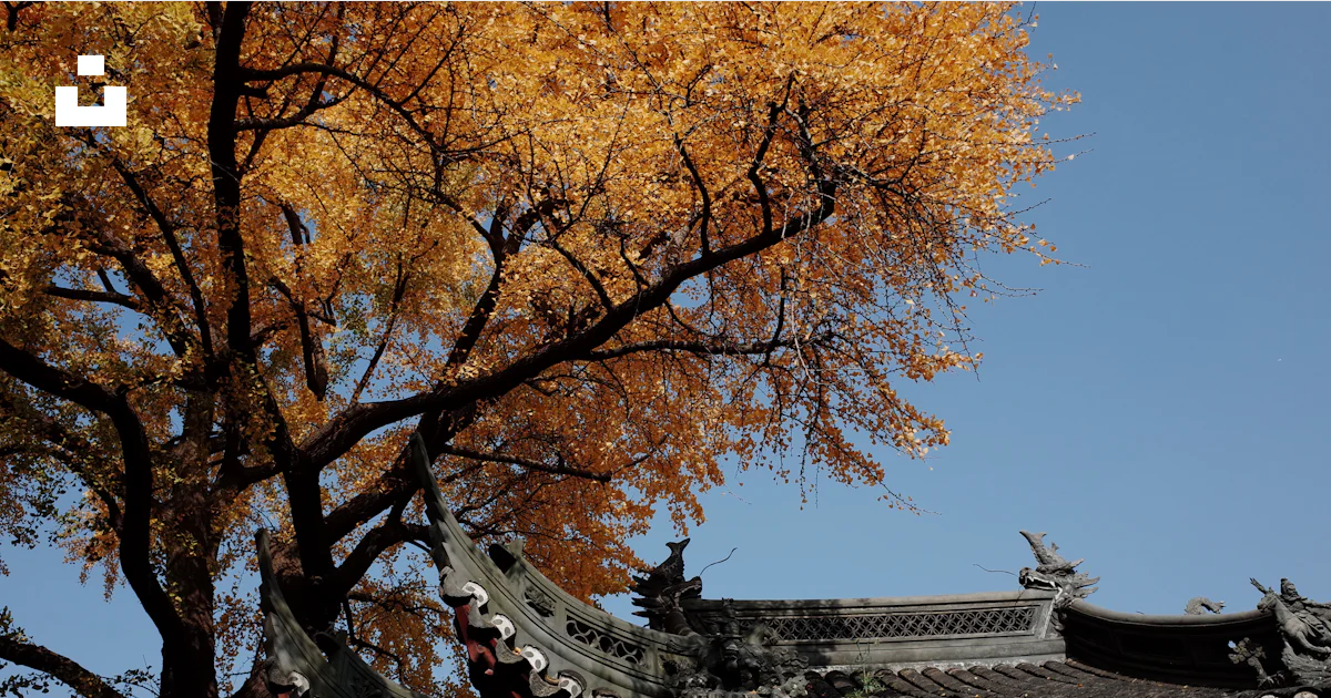 Red and brown temple near trees during daytime photo – Free ...
