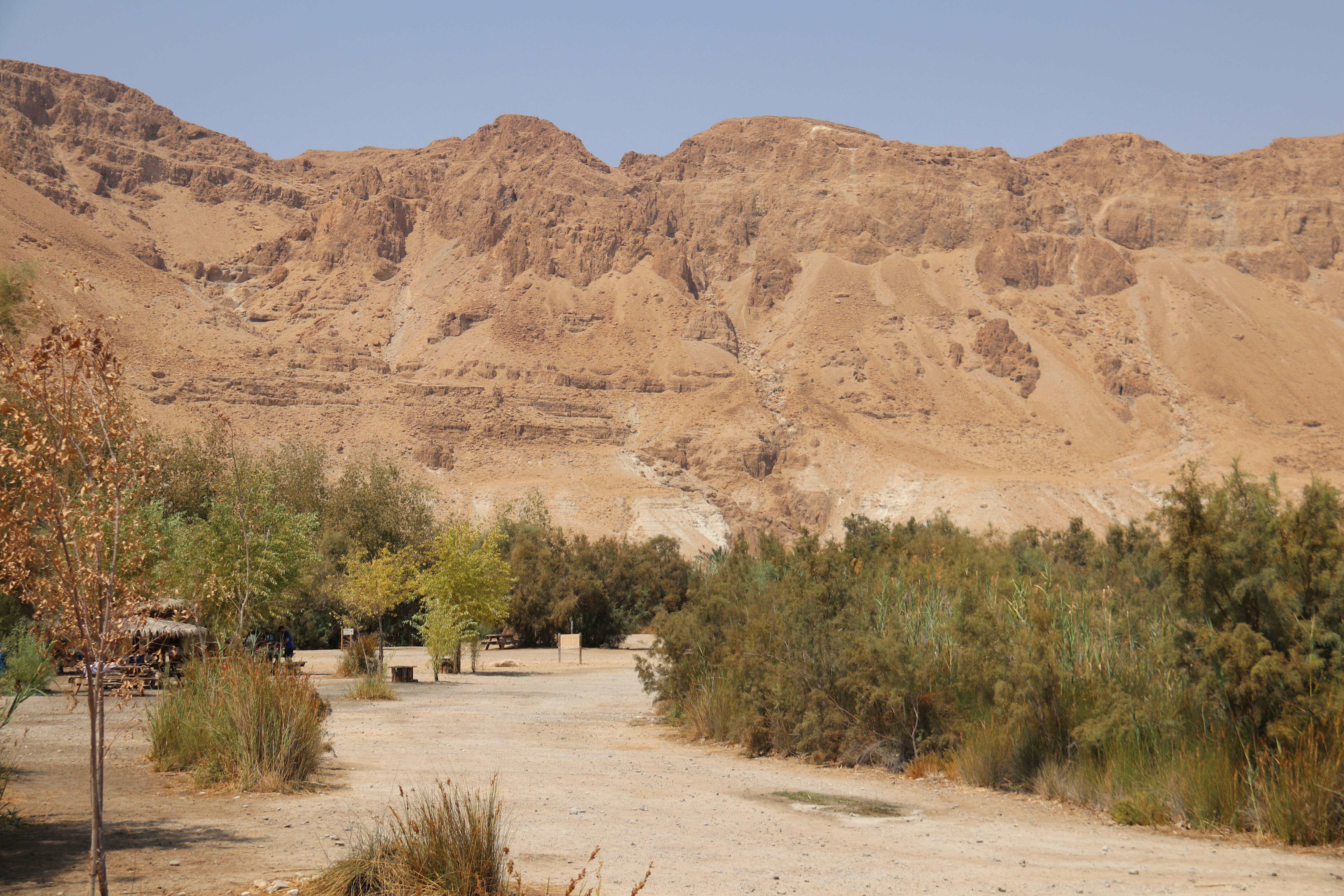 Wadi Al-Hitan