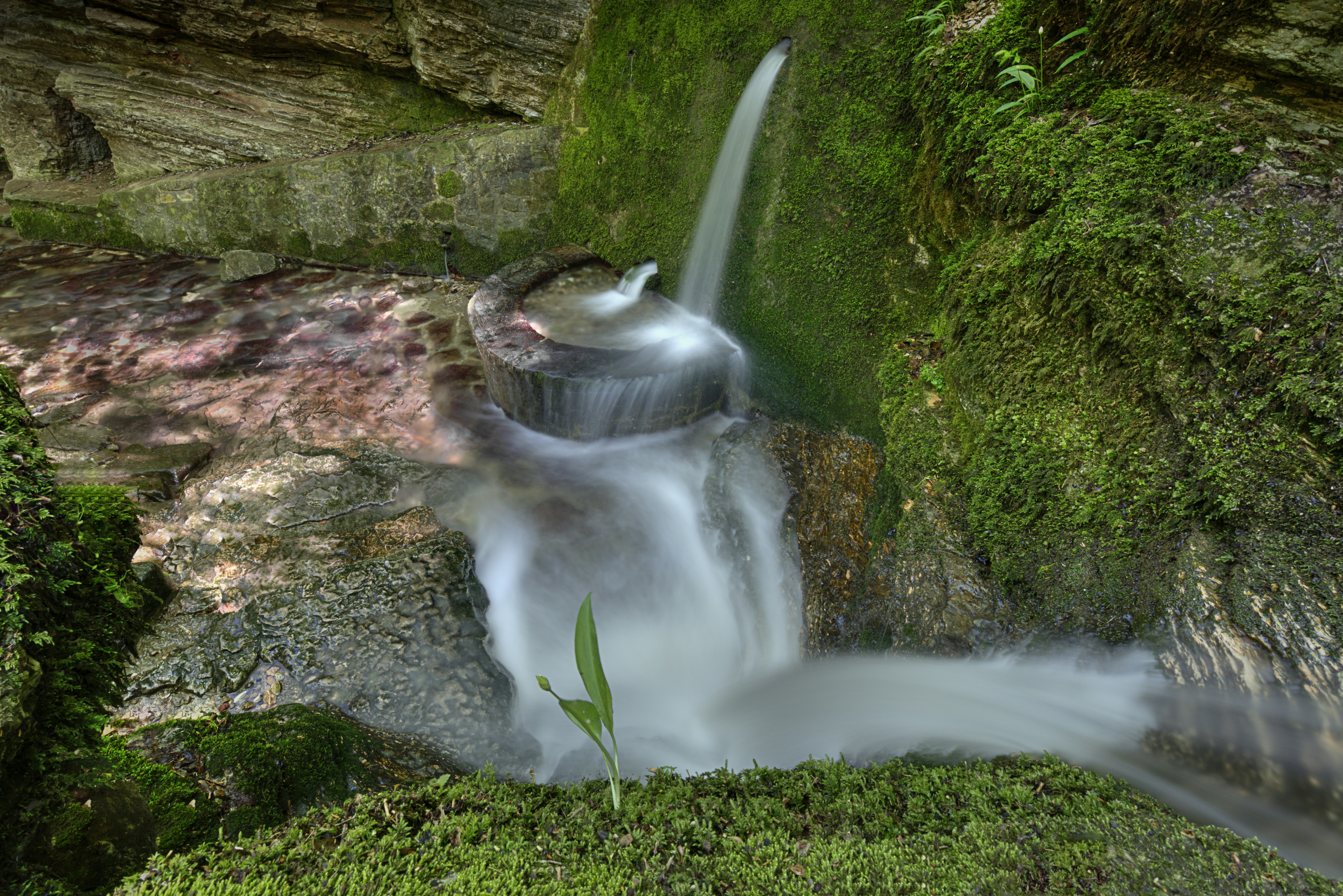 water falls in the middle of the forest