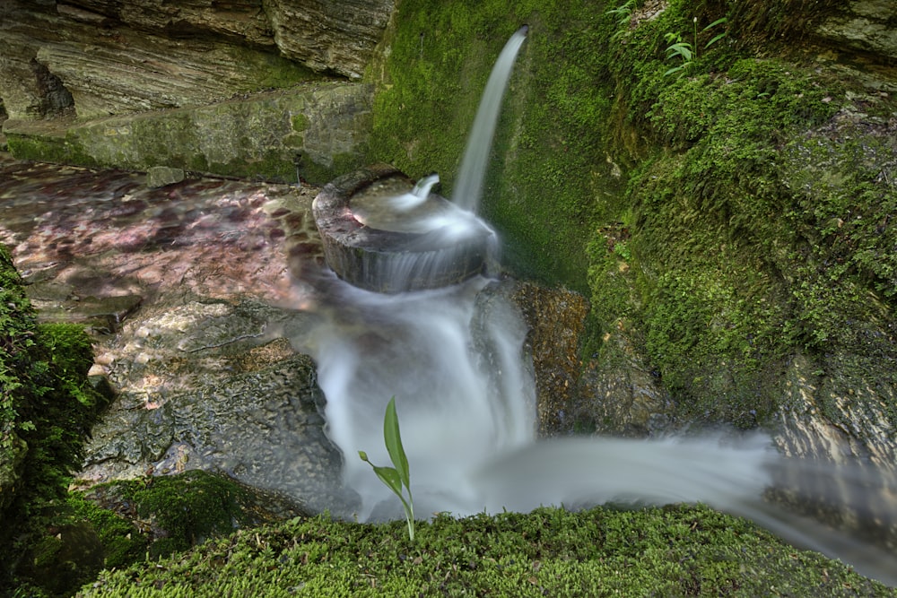 water falls in the middle of the forest