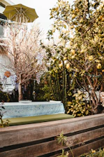 A cozy backyard garden with fresh vegetables, a wooden bench, and sunlight filtering through leafy trees.
