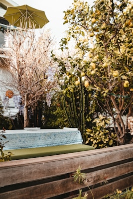A cozy outdoor patio setting with a wooden bench covered by a green cushion and a blue-patterned tablecloth. Above the seating area, an umbrella provides shade. The garden surrounding the bench features lush green plants, a lemon tree heavy with fruit, and another tree adorned with decorative hanging elements resembling lanterns or crystal garlands. Sunlight filters through the branches, creating a serene atmosphere.
