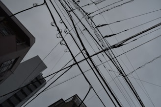 A complex network of black power lines crisscross overhead against a backdrop of a cloudy, grey sky. Buildings rise up from the bottom edges of the image, framing the scene and adding an urban feel.