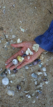 A hand holding a collection of small seashells and coral pieces against a sandy background. The fingers are slightly spread, with sand grains adhered to the skin, and the overall color palette is natural with earthy tones.