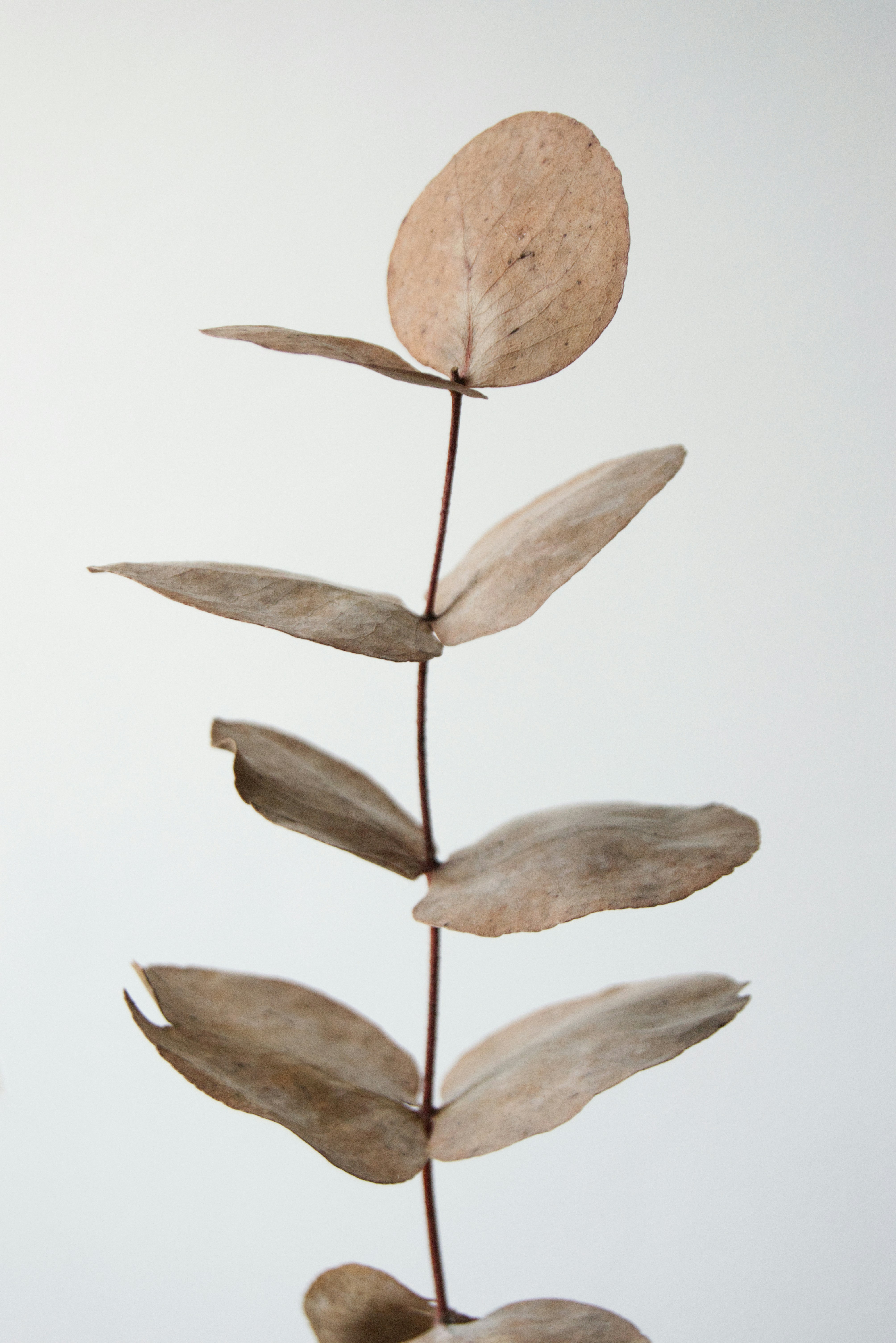 Photo by danielsquibb