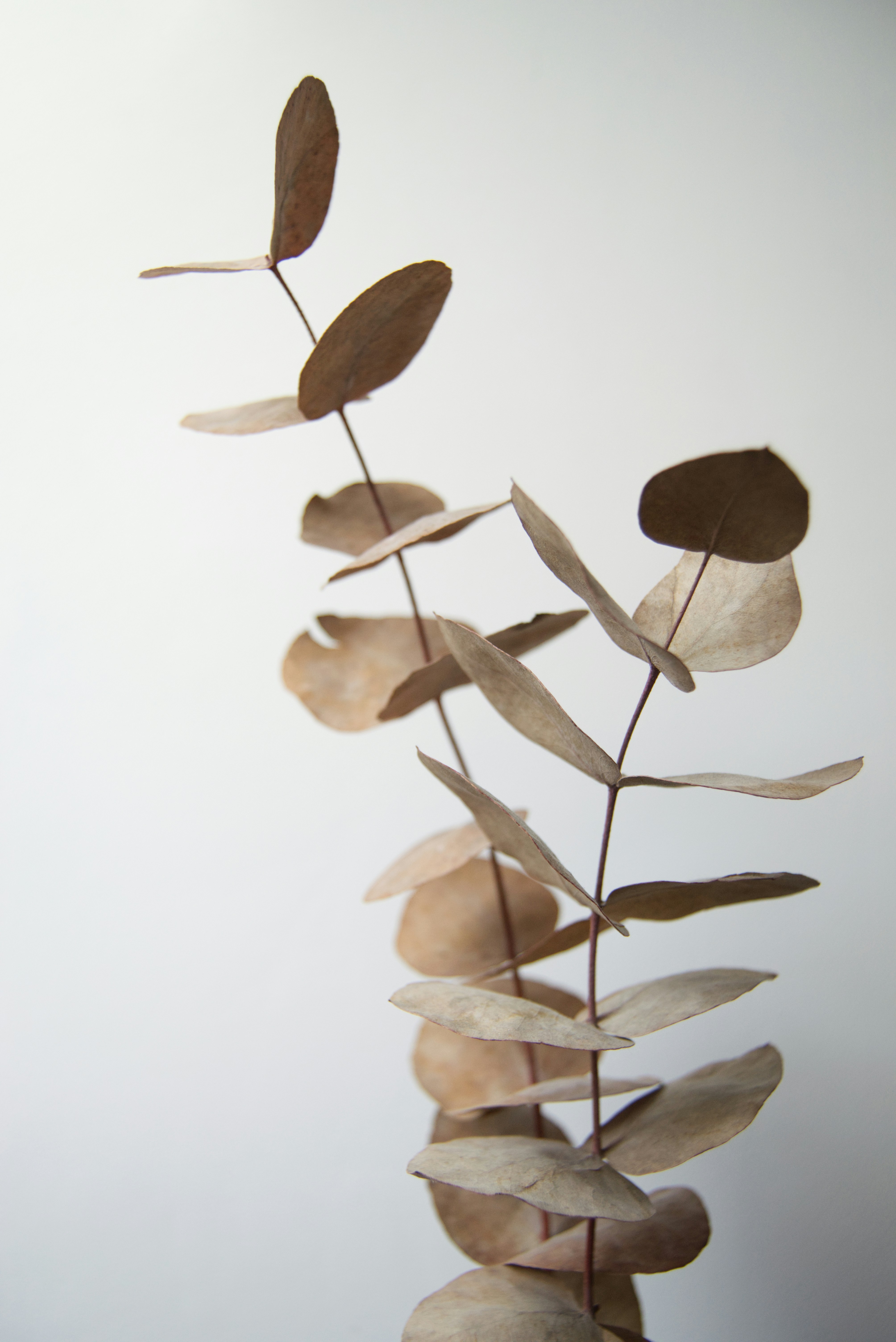 Photo by danielsquibb