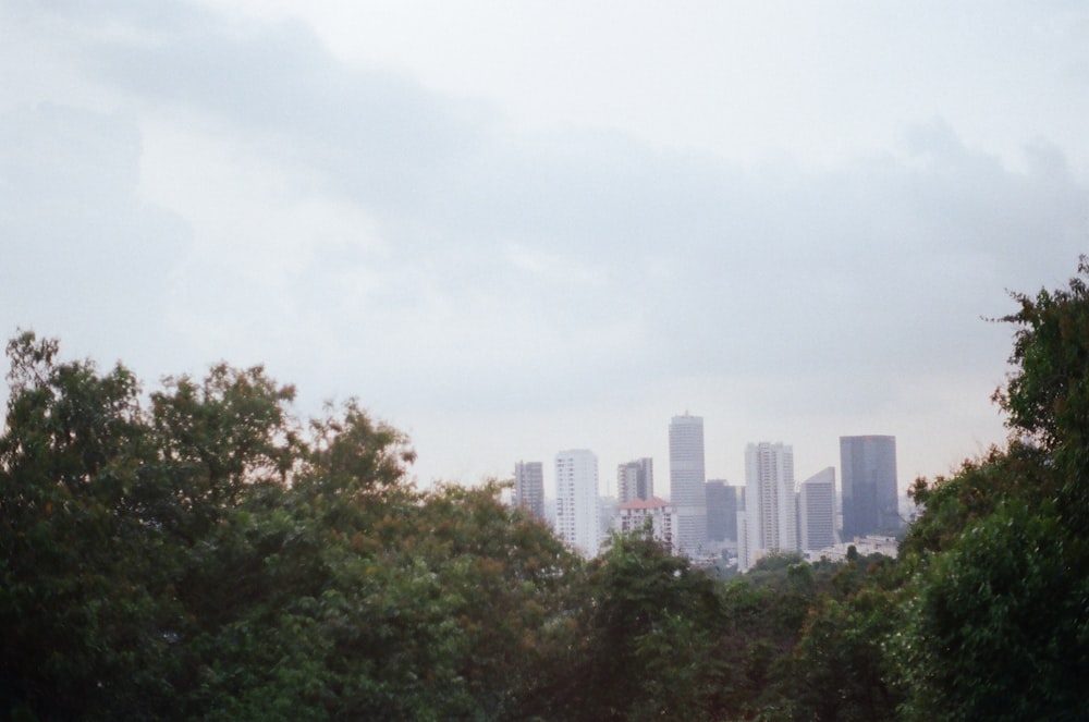 green trees near city buildings during daytime