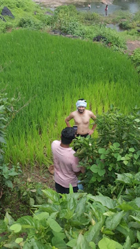 A vibrant photo of Ameen Abdul engaging with diverse communities during a field visit.
