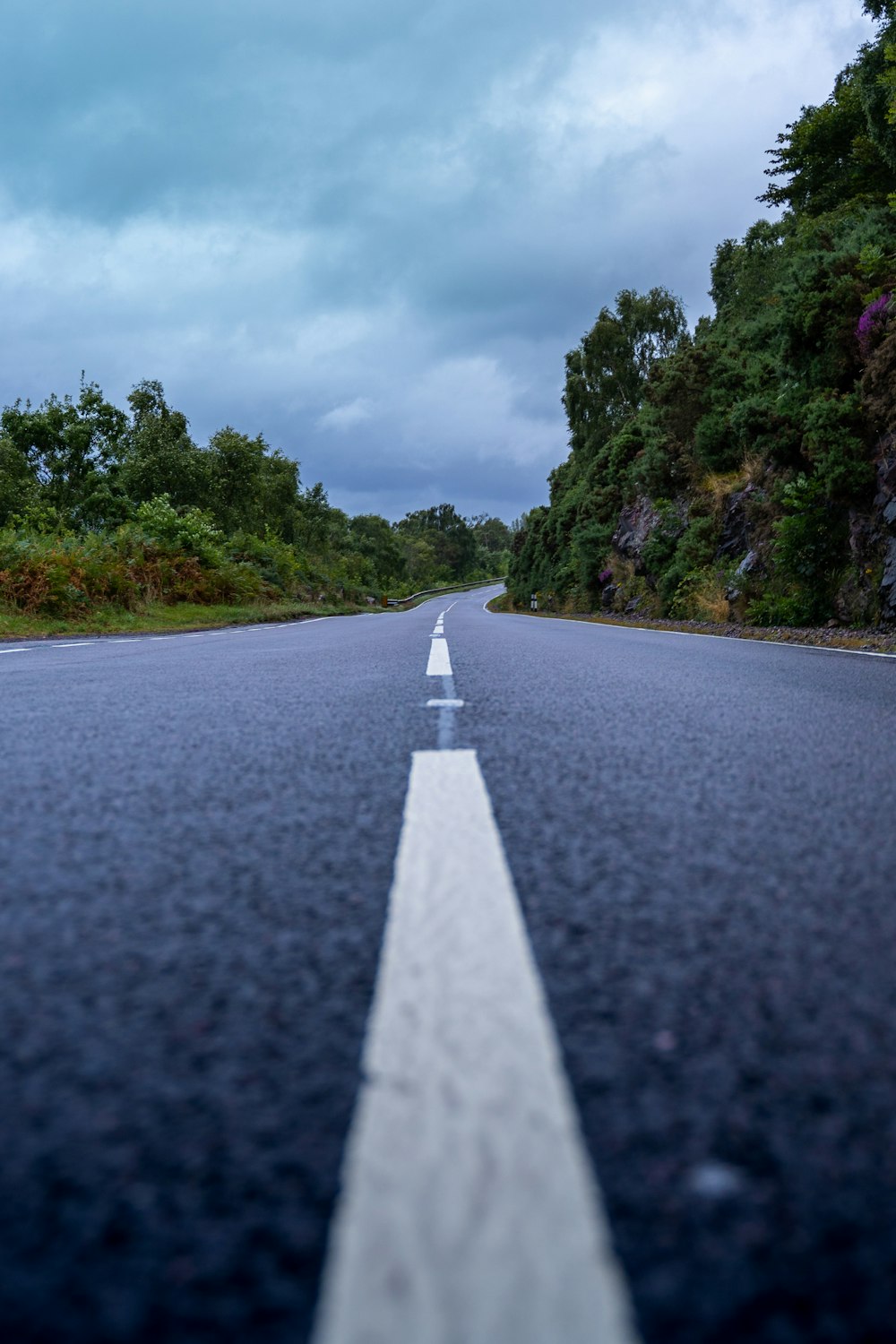 gray concrete road between green trees under white clouds and blue sky during daytime