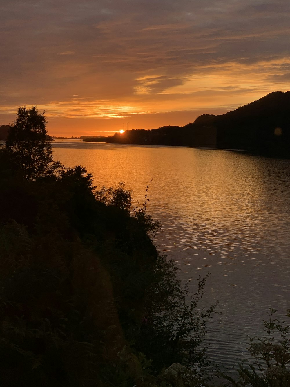 silhouette of trees near body of water during sunset