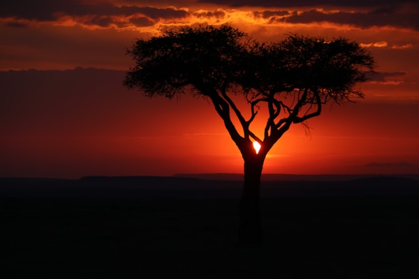 3-Day Maasai Mara Weekend Safari