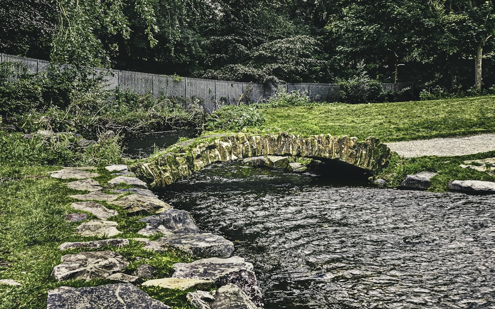 green grass and trees near river