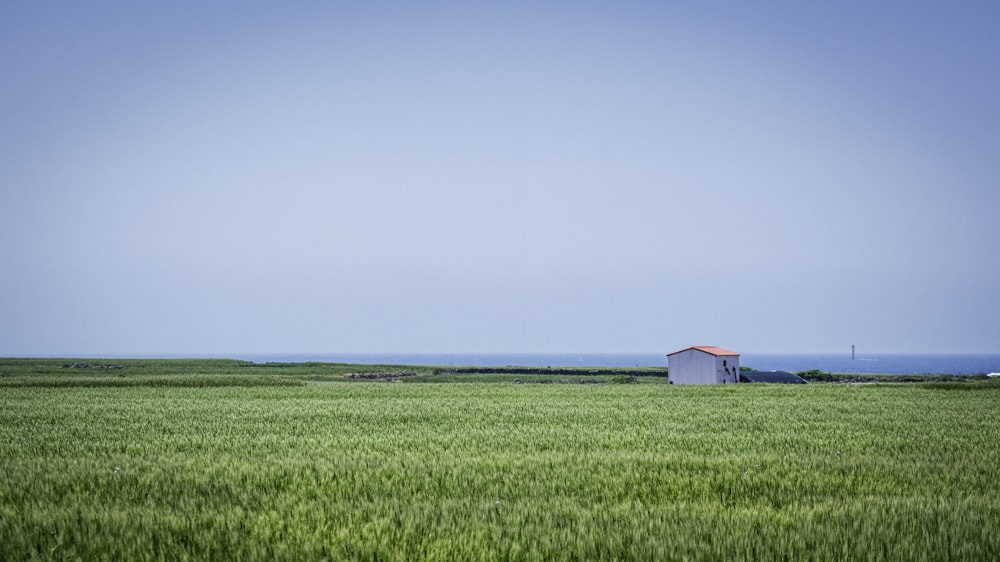 blue and white house on green grass field under blue sky during daytime