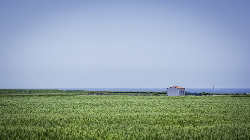 maison bleue et blanche sur le champ d’herbe verte sous le ciel bleu pendant la journée