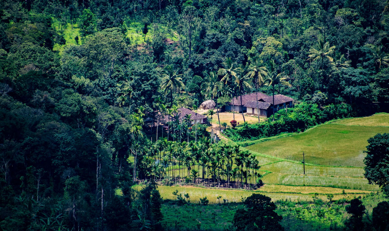 Coorg, India