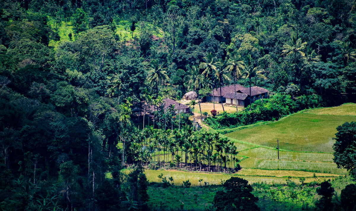Coorg Tour Package — Scotland of India — photo 3