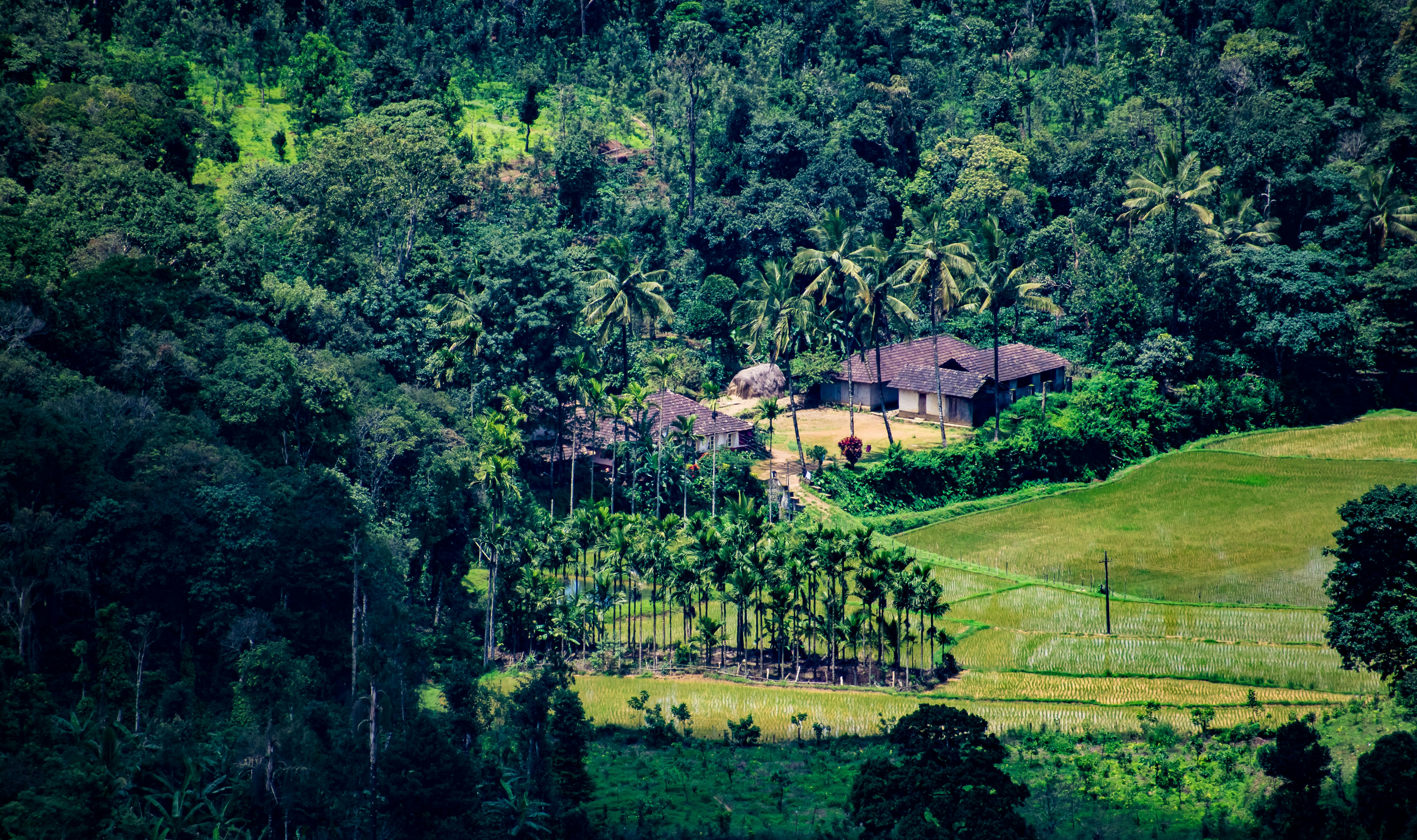Coorg Travel Guide
