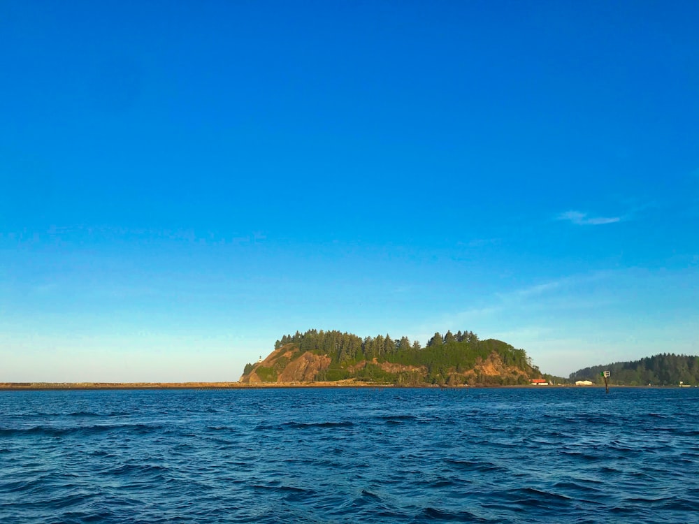 Grüne Bäume auf der Insel tagsüber